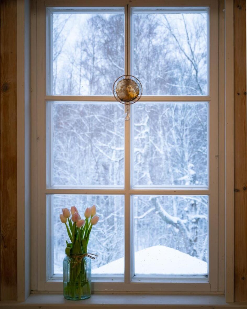 Kolin Mattila B&B Kolinkylä Exterior foto