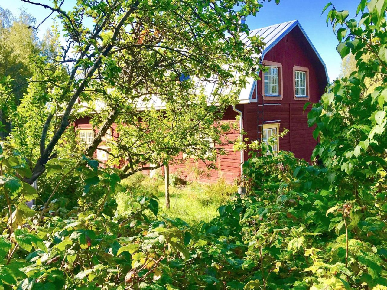 Kolin Mattila B&B Kolinkylä Exterior foto